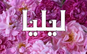 Lilia izenaren esanahia