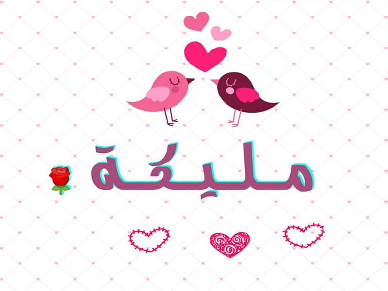 معنى اسم مليكة