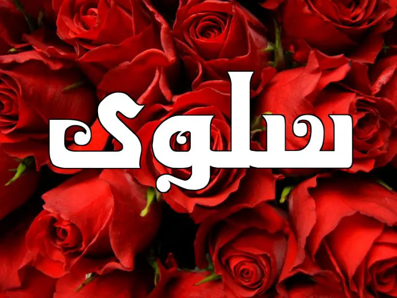 معنى اسم سلوى