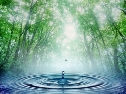 Kort essay om viktigheten av vann