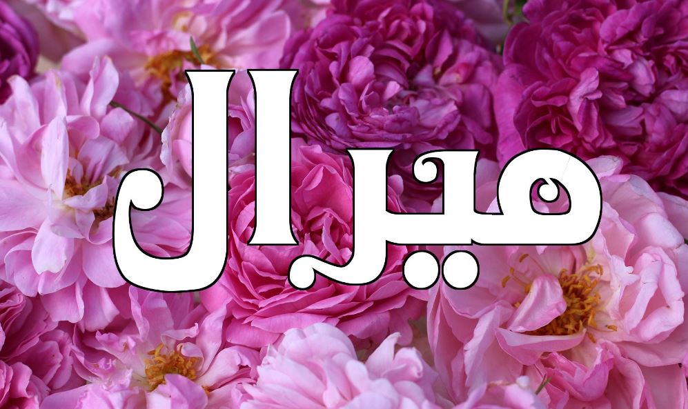 ما هو معنى اسم ميرال في اللغة العربية موقع مصري