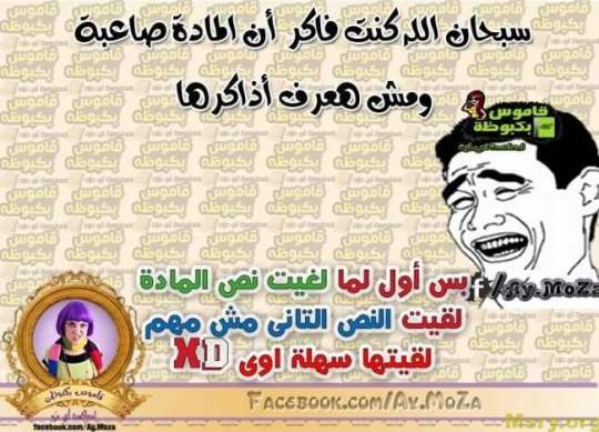 نكات مصرية نكت فيسبوك مضحكه 2017046