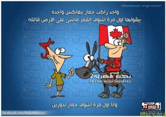 نكات مصرية نكت فيسبوك مضحكه 2017065