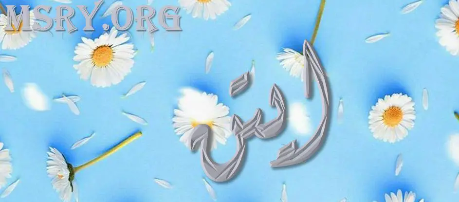 اسم أيتن