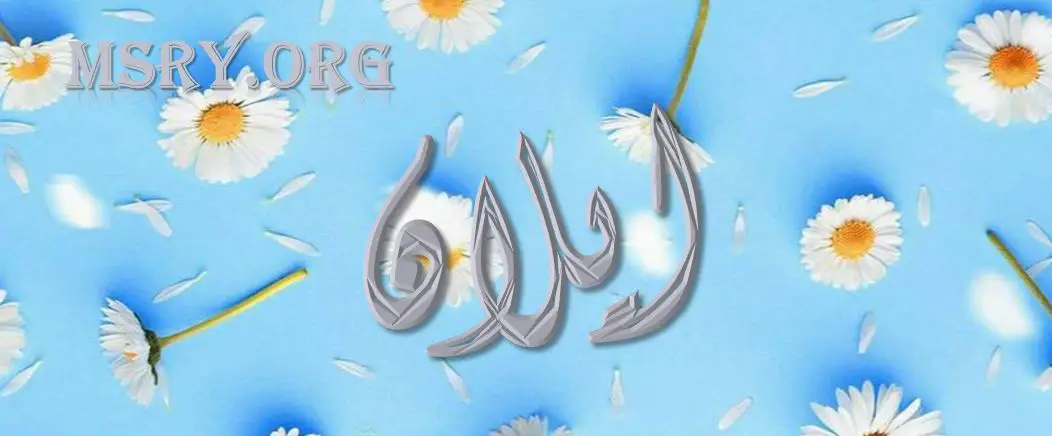 اسم إيلان