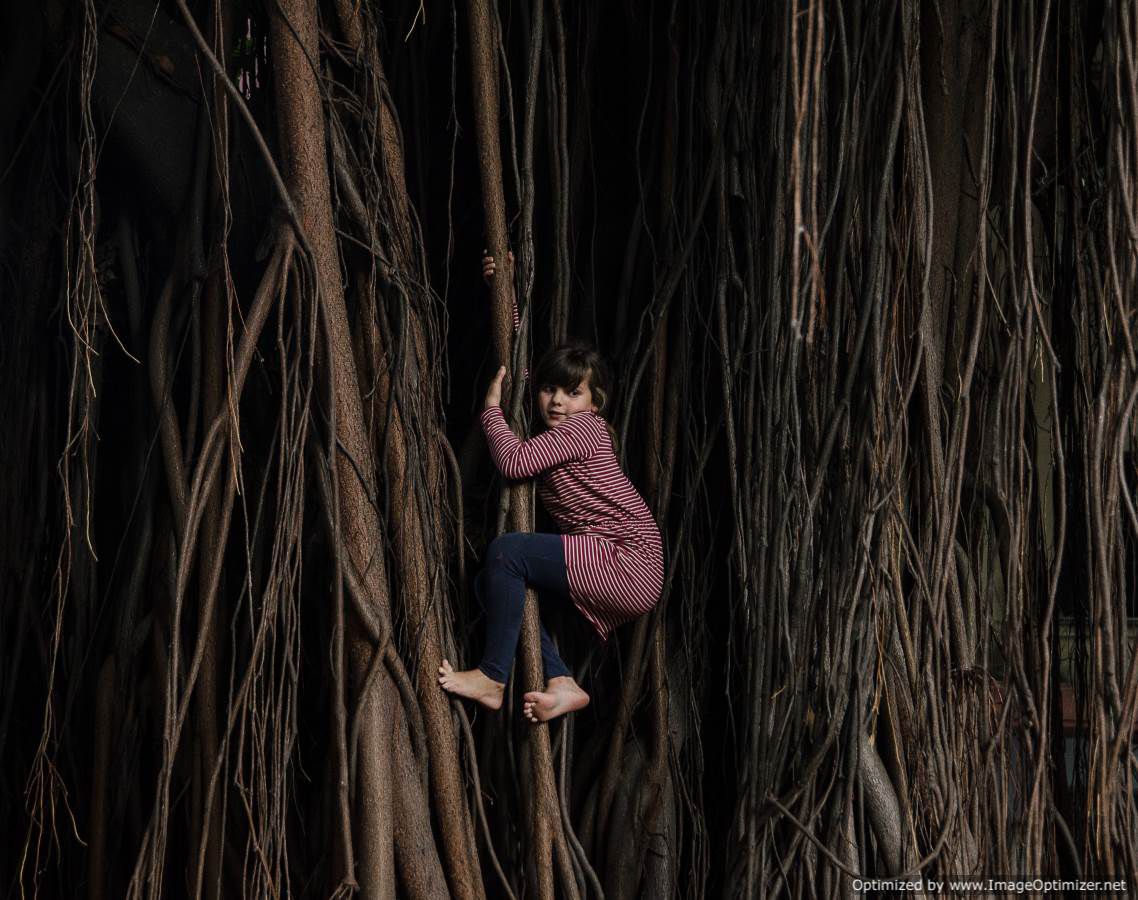 صورة بنت صغيرة تتسلق الاشجار