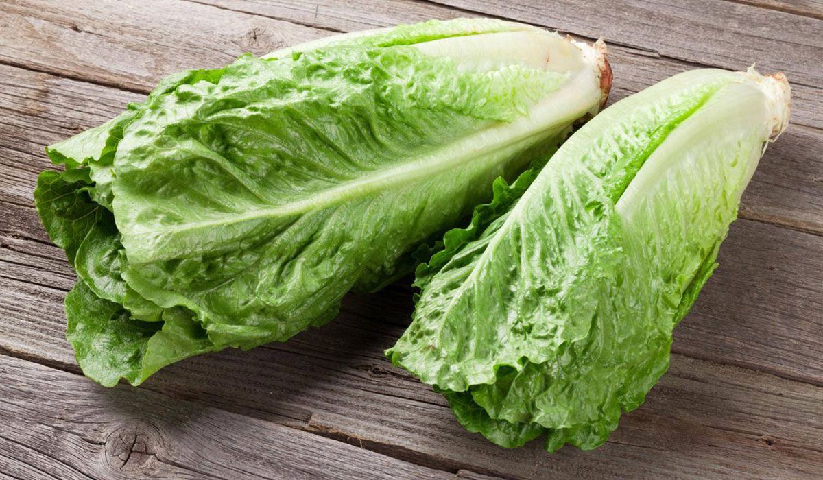 Sanjati da jedete zelenu salatu