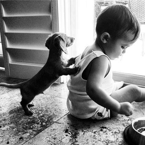 طفل مع كلب صغير