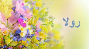 معنى اسم رولا