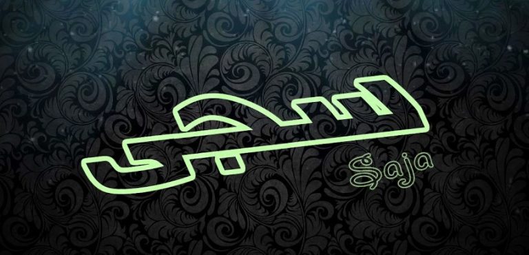 معنى اسم سجى