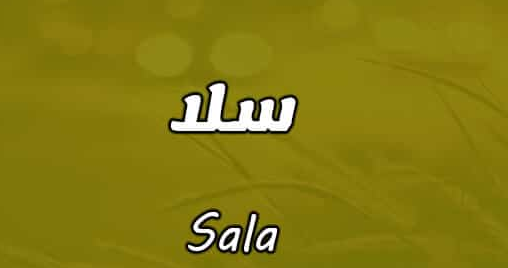 أسرار عن معنى اسم سلا Sala في علم النفس وصفاتها موقع مصري