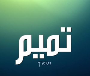 معنى اسم تميم