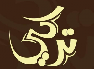 معنى اسم تركي