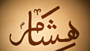 معنى اسم هشام