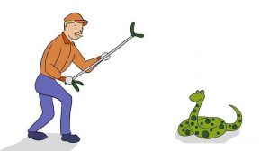 Suge bat hiltzeari buruzko amets baten interpretazioa