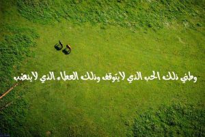 عبارات عن الوطن قصيرة جداً 2021