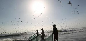 اصطياد السمك في المنام