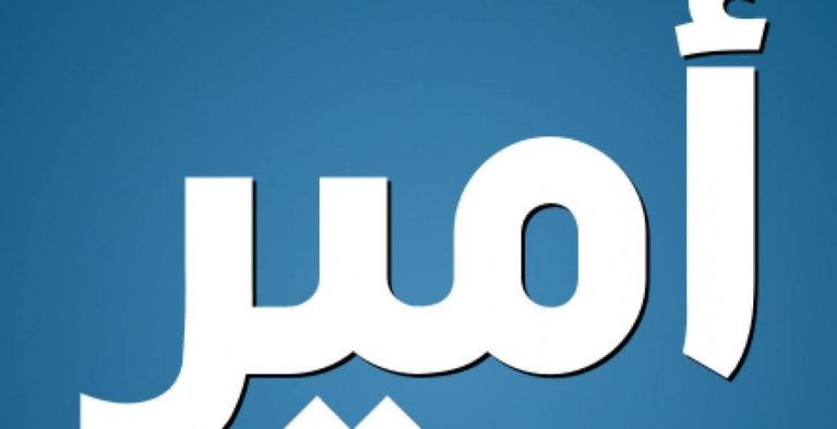 Signification du prénom Amir