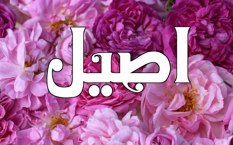معنى اسم أصيل