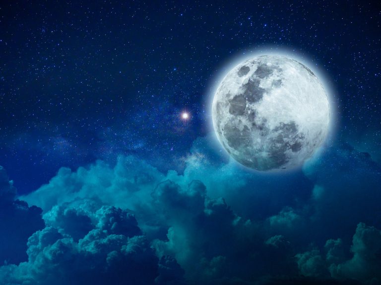 WhatsApp арқылы түстердің аудармашысының нөмірі, Насер Аль-Румаих 2021