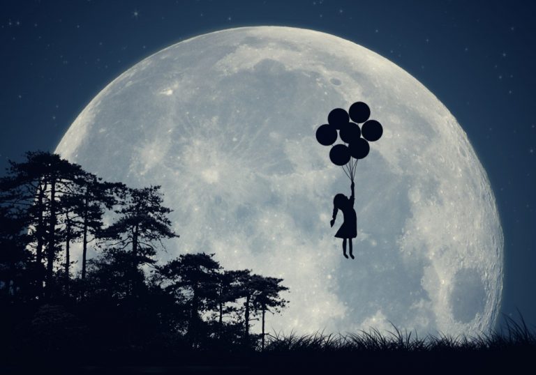 Арман аудармашылары 2021