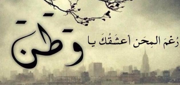 Отан туралы айтылған ең әдемі сөз тіркестері