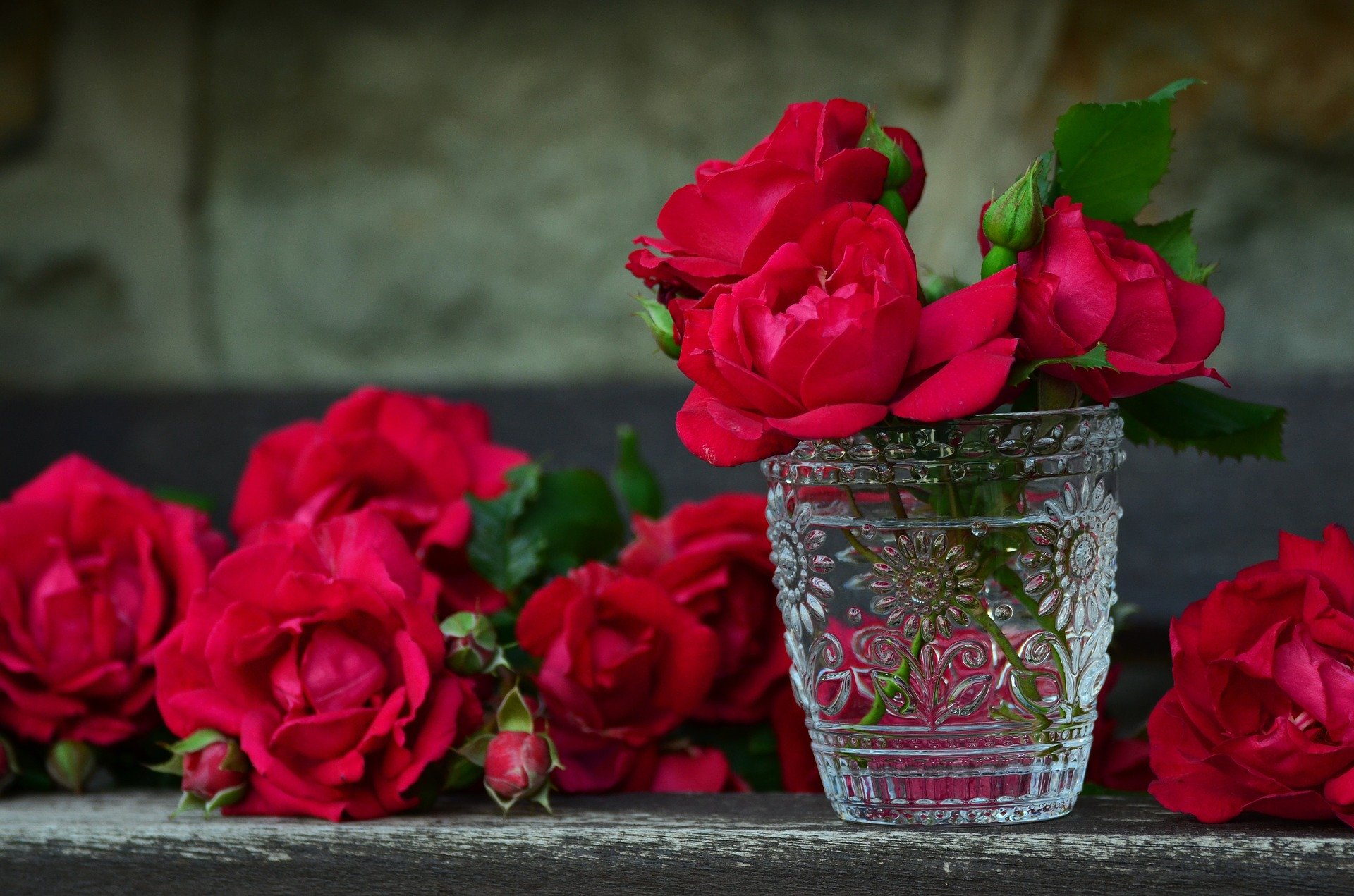 အိမ်ထောင်ရှင်အမျိုးသမီးအတွက် နှင်းဆီပန်းများအကြောင်း အိပ်မက်အဓိပ္ပာယ်ဖွင့်ဆိုချက်