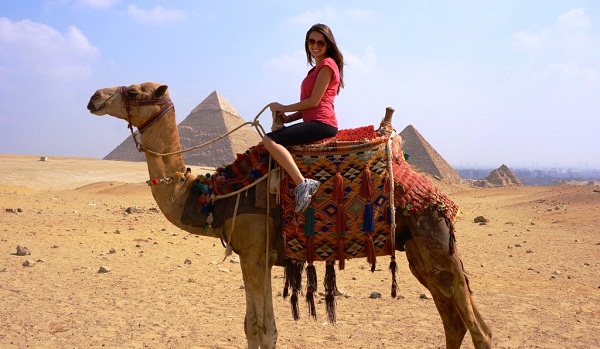 Een kameel in een droom voor een getrouwde vrouw - een Egyptische website