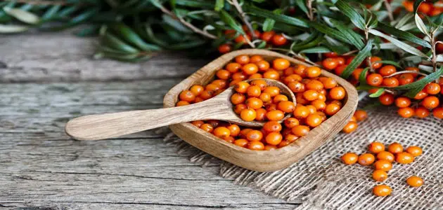 Buckthorn në një ëndërr&nbsp;