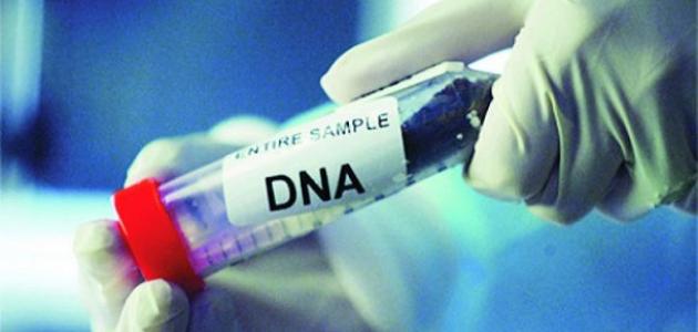 كيف اسوي تحليل dna