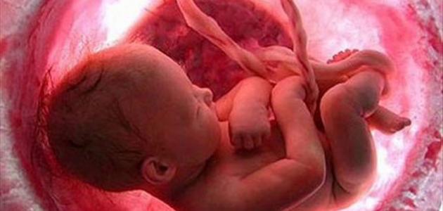 He pēpē i ke ono o ka malama