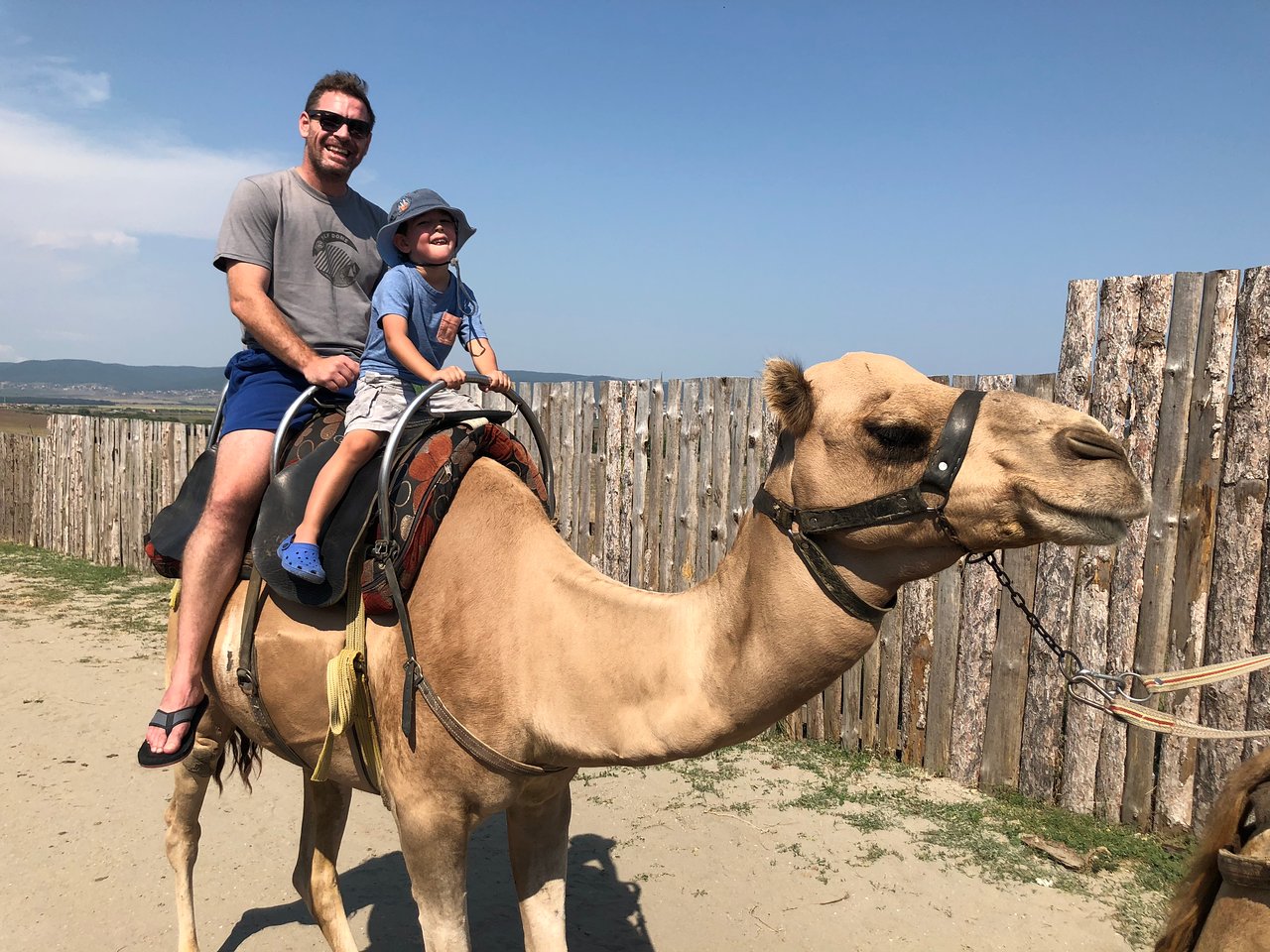 Tolkning av en drøm om å ri på en kamel