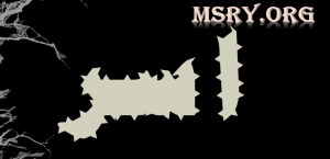 معنى اسم آسر