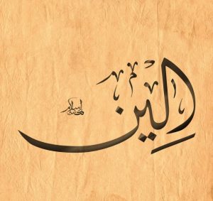 معنى اسم ألين