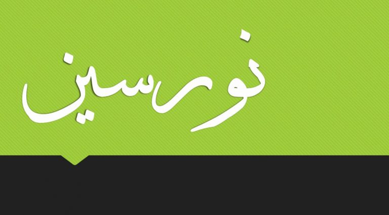 معنى اسم نورسين وصفاتها