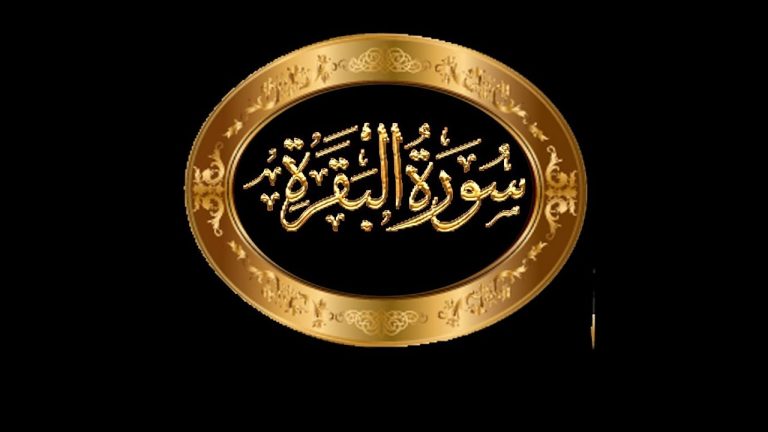 تفسير حلم سورة البقرة في المنام