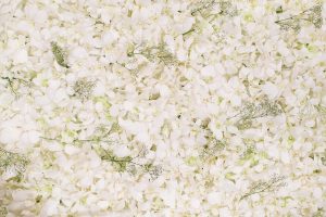 اللون الأبيض في المنام