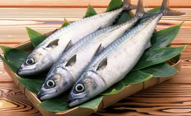 تفسير حلم السمك النيء