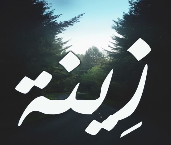 معنى اسم زينة في اللغة العربية