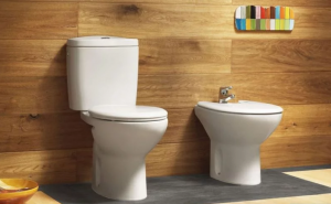 تفسير حلم المرحاض في المنام للعزباء