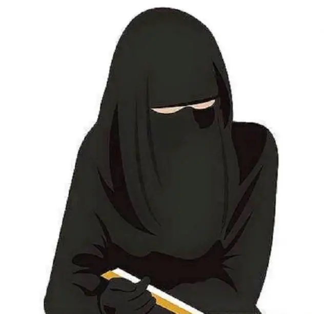 Túlkun á draumi um búrku eftir Ibn Sirin