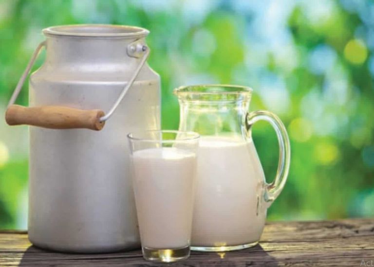 تفسير حلم شرب الحليب في المنام