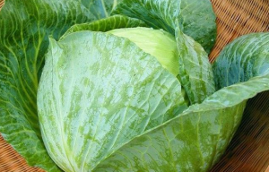 تفسير حلم الكرنب فى المنام