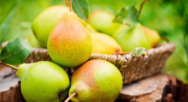 Pears ໃນຄວາມຝັນ
