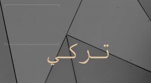 معنى اسم تركي وصفاته