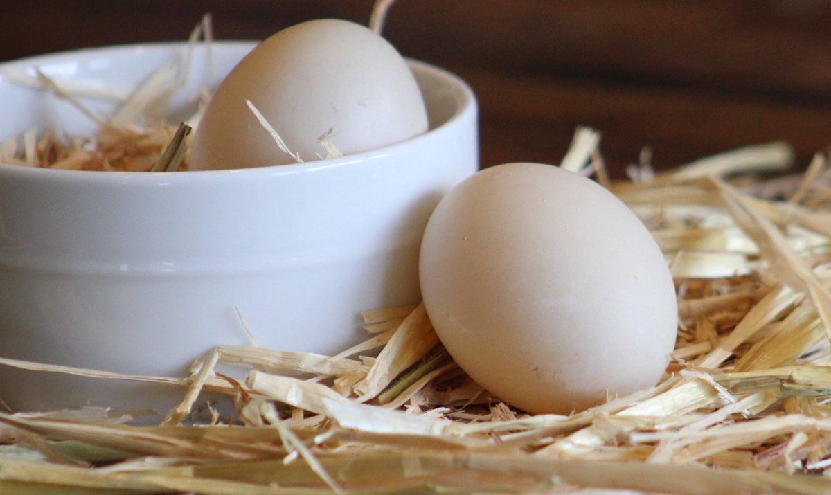 Razlaga videnja zlomljenih jajc