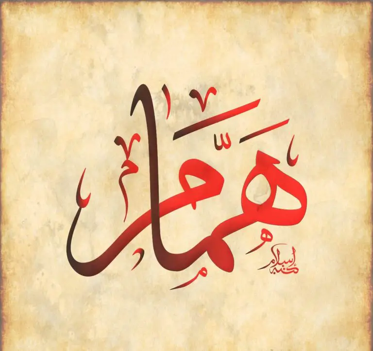 معنى اسم همام