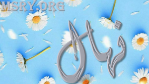 معنى اسم نهال