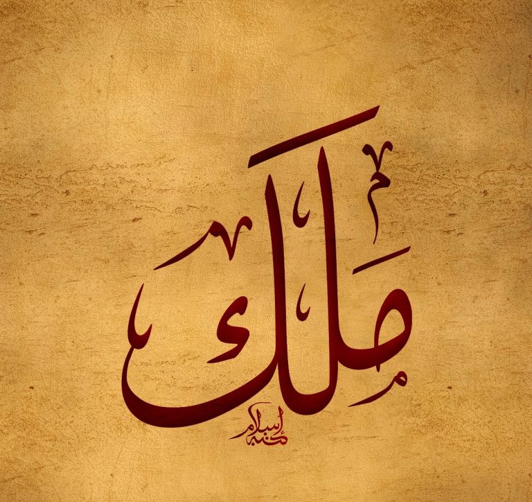 معنى اسم ملك