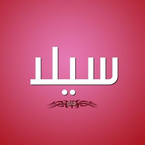 معنى اسم سيلا وشخصيتها
